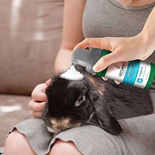 Vet's Best Baño de animales pequeños sin agua | Champú seco sin enjuague para animales pequeños, 150ml