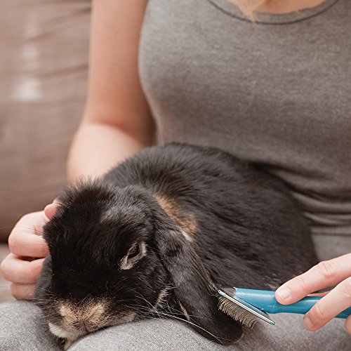 Vet's Best Baño de animales pequeños sin agua | Champú seco sin enjuague para animales pequeños, 150ml