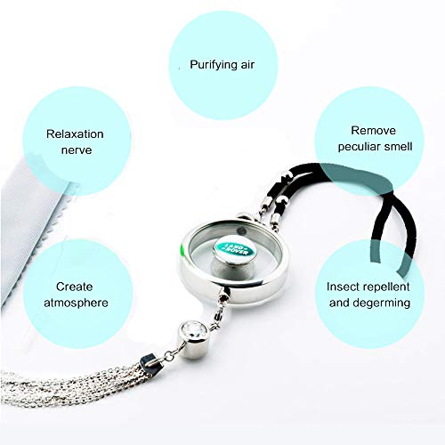 VILLSION Ambientador de Coche Colgante de Perfume portátil para ambientador de Aire del Coche Adornos Aromaterapia Difusor con Caja de