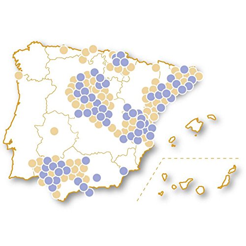 VIVABOX Caja Regalo -¡Vive LA ACCIÓN!- 900 Actividades. Incluye: un Reloj analógico Negro