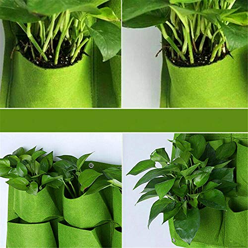 VOANZO 2 unidades Green Garden Vertical Planter Multi Pocket Soporte de pared Living Growing Bag Fieltro Maceta para hierbas en interiores y exteriores – 2 bolsillos (22 x 41 H)
