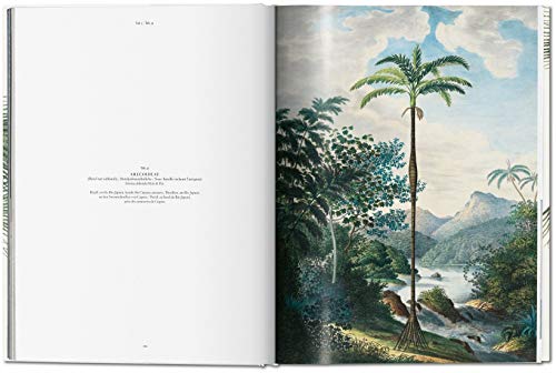 von Martius. The Book of Palms (PRIX FAVORABLE)