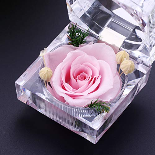 Vosarea - Flor fresca preservada rosa eterna con regalos de caja de anillo de cristal acrílico para mujeres, cumpleaños, San Valentín, aniversario de boda, color rosa