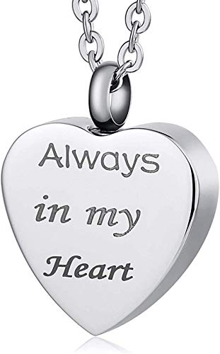 VVHN Collar Acero Inoxidable joyería Hombres Mujeres Cadena de Cenizas Botella de Perfume