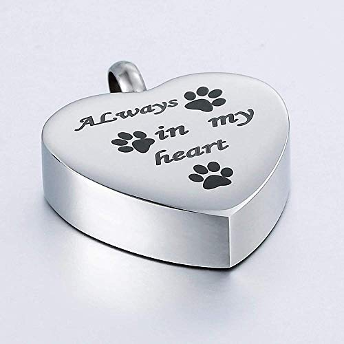 VVHN Collar Acero Inoxidable joyería Hombres Mujeres Cadena de Cenizas Botella de Perfume