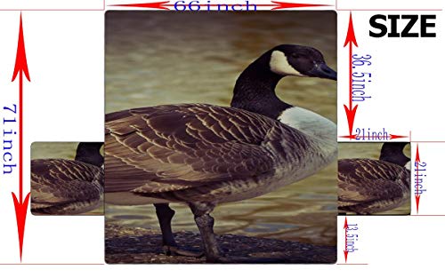 WDDHOME Goose Animal Bird Aves de Corral Greylag Goose Gander Cojín en T Fundas de sofá Sofá Cojines Cuadrados Sofás Cover 66"(168cm) para 3 Asientos Lavado a máquina Funda para Silla de Brazo