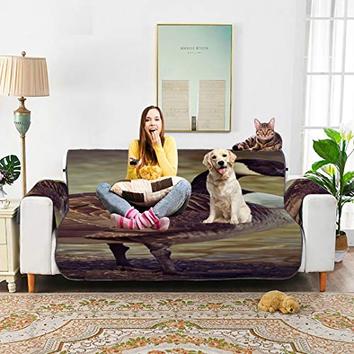 WDDHOME Goose Animal Bird Aves de Corral Greylag Goose Gander Cojín en T Fundas de sofá Sofá Cojines Cuadrados Sofás Cover 66"(168cm) para 3 Asientos Lavado a máquina Funda para Silla de Brazo