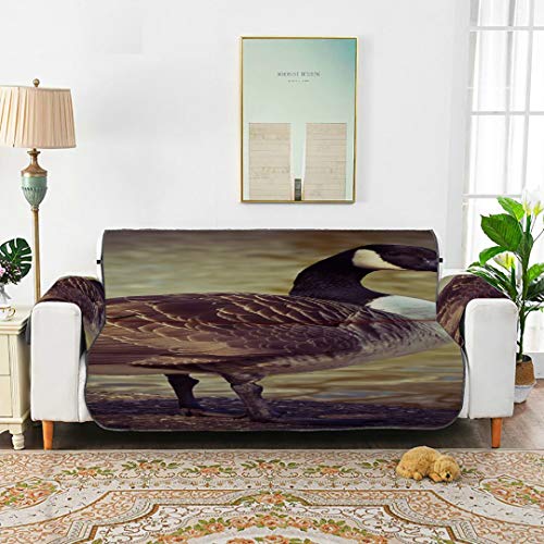 WDDHOME Goose Animal Bird Aves de Corral Greylag Goose Gander Cojín en T Fundas de sofá Sofá Cojines Cuadrados Sofás Cover 66"(168cm) para 3 Asientos Lavado a máquina Funda para Silla de Brazo