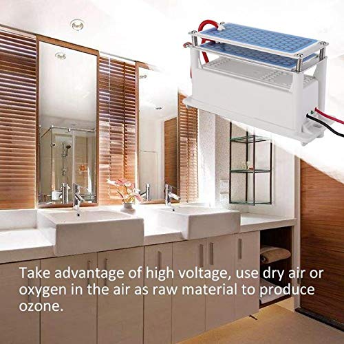 wdpwsl Generador de ozono portátil, 10 g/h de cerámica Generador de ozono Doble Placa integrada Ozonizador Purificador de Aire de Agua para fábrica de Productos químicos