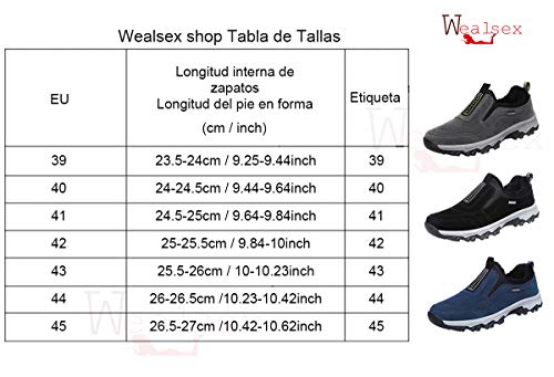 Wealsex Zapatos De Senderismo Antideslizantes para Hombre Zapatos para Caminar Al Aire Libre Sin Cordones Zapatos Casuales 39-45 (39 EU, Azul Forro Felpa)