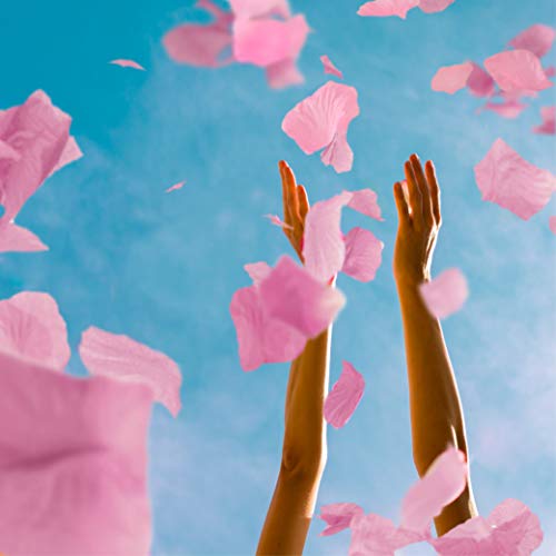 WeddingTree 2000 Pétalos de Rosa Sueltos Rosa - Ideales para Bodas, día de San Valentín, cumpleaños, Fiestas y decoración romántica