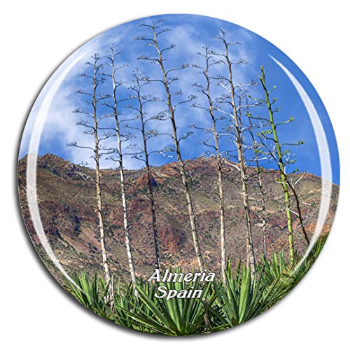 Weekino España Nihal Nature Park Almeria Imán de Nevera 3D de Cristal de la Ciudad de Viaje Recuerdo Colección de Regalo Fuerte Etiqueta Engomada refrigerador