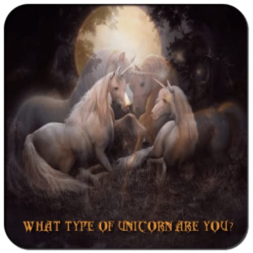 Which Unicorn Are You?