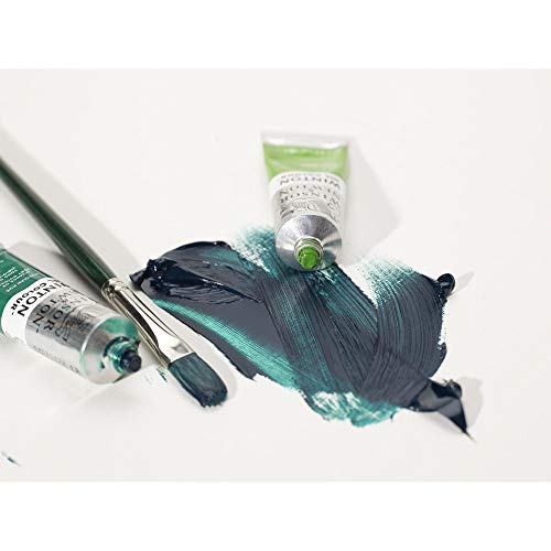 Winsor & Newton Winton - Tubo óleo, 37 ml, color ocre amarillo