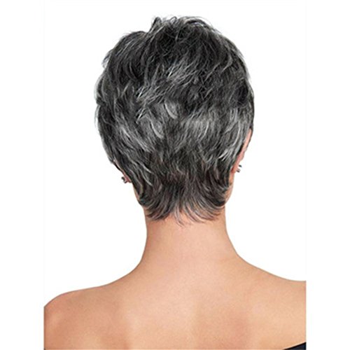WWWIG Afro Gris Erizo Cabello Pelucas para Negro Mujeres Corto Plata Corrugado Doble Cabello 100% Calor Resistente Fibra Sintético Peluca 11 " 130 G