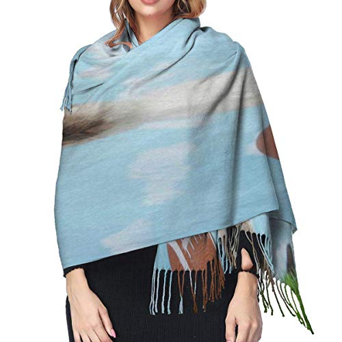 XCNGG Bufanda con flecos de cachemira de imitación chal bufanda larga de moda Shawls And Wraps for Evening Dresses Hipster Colorful Cat Kitten Womens Cashmere Scarf Winter