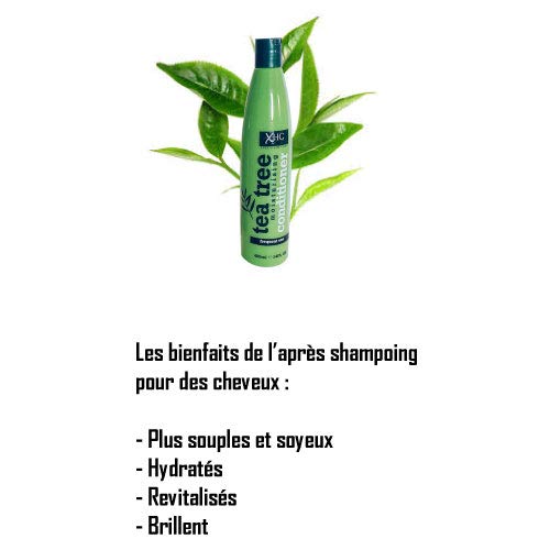 Xhc - Árbol de té hidratante champú para el cabello volumen, brilla & limpieza 400 ml