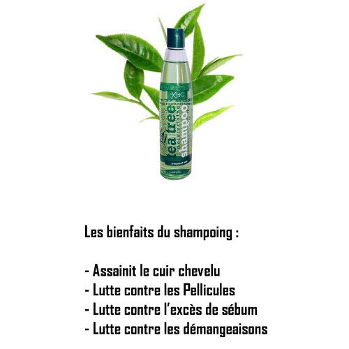 Xhc - Árbol de té hidratante champú para el cabello volumen, brilla & limpieza 400 ml