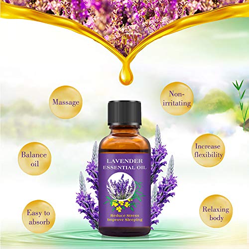 Xnuoyo 30ml Aceite Esencial de Lavanda, 100% puro y Natural Aceites Esenciales Biológicos, Aceite Perfumado sin Diluir para Masaje SPA Perfume de Baño Regalo Ideal para Fiesta Sueño Reparador