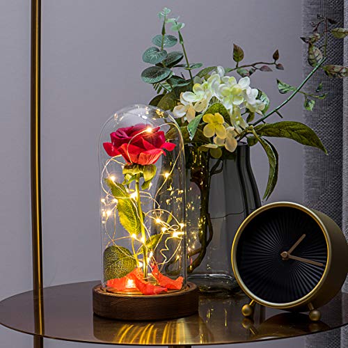 Yamonic "La Bella y la Bestia" Rosa de Seda roja y luz LED con pétalos caídos en la cúpula de Vidrio en la Base de Madera para la decoración del hogar Boda Cumpleaños Día de San Valentín