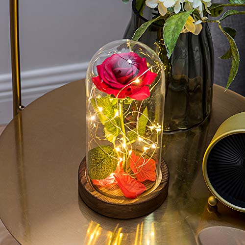 Yamonic "La Bella y la Bestia" Rosa de Seda roja y luz LED con pétalos caídos en la cúpula de Vidrio en la Base de Madera para la decoración del hogar Boda Cumpleaños Día de San Valentín