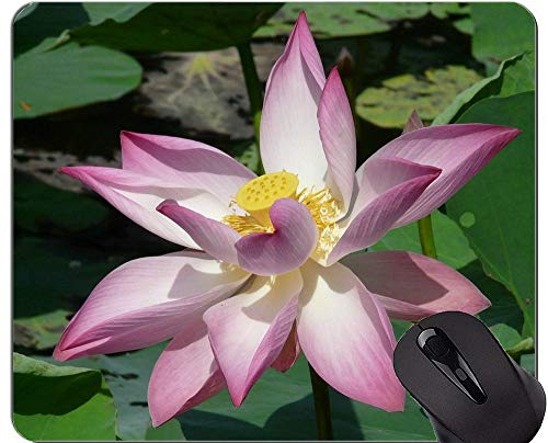 Yanteng Cojín de ratón de Las Flores púrpuras de la Naturaleza Personalizado - Base de Goma Antideslizante de Lotus Mousepad