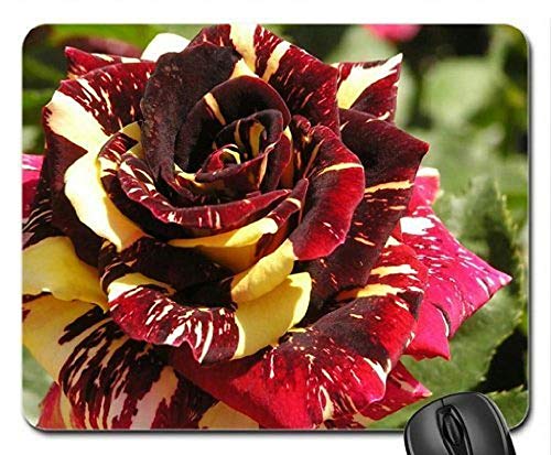 Yanteng (Precisión Cosida) Alfombrilla para ratón Alfombrilla de ratón del Juego Belleza Color de Rosa Abracadabra Alfombrilla de ratón, Mousepad (Alfombrilla de ratón Rose)