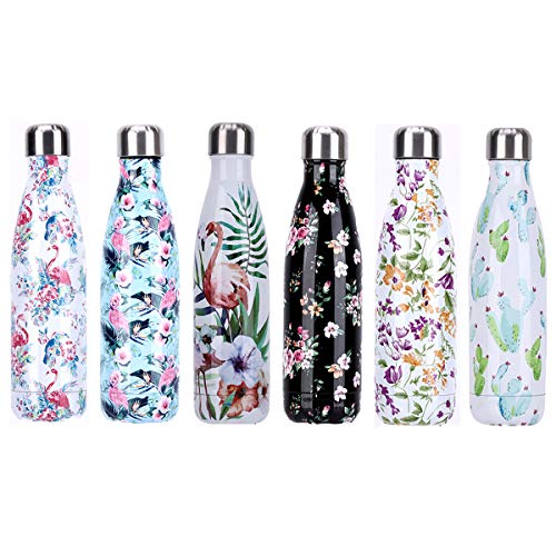 YCTECH Botella Agua de Acero Inoxidable 500ml, Sin Bpa & Eco Friendly, Termo con Doble Aislamiento para 12 Horas de Bebida Caliente y 24 Horas de Bebida Fría, fácil de Limpiar (Cactus)