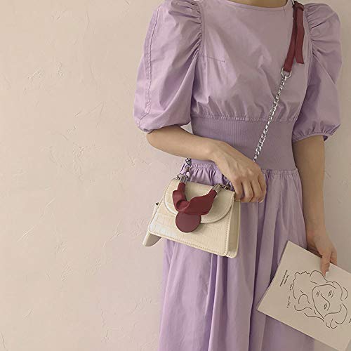 YIHUI Bolso de Las señoras Bolsos Mujer Bolso de Hombro para Mujer Bolso de Mensajero para Mujer,Bolso de Hombro para Mujer Net Celebrity ins,Bolso Cuadrado pequeño de Cadena Retro de Moda