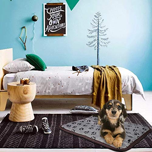 Yungo Manta Eléctrica para Perro y Gatos Interior, Almohadilla Térmica Impermeable Mascotas para Mascotas Gatos y Perros Recién Nacidos/Pequeños/Ancianos (45 * 45CM)