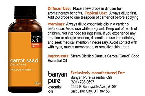 Zanahoria (semillas) 100% puro grado Terapéutico Aceite Esencial por Banyan Pure – 30 ml