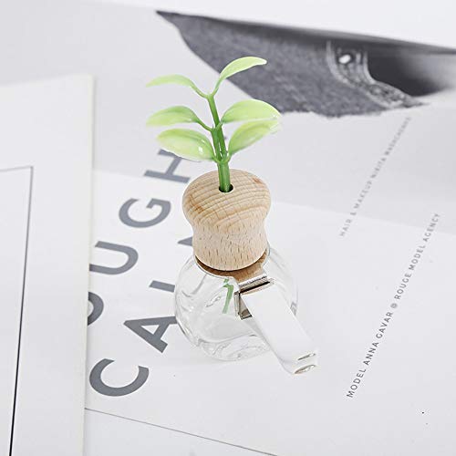 ZJDY - Ambientador para coche con clip para perfume de hierba y olor a hierba, decoración de salida automática, botella vacía, accesorio para regalo sin perfume (nombre del color: elipse)