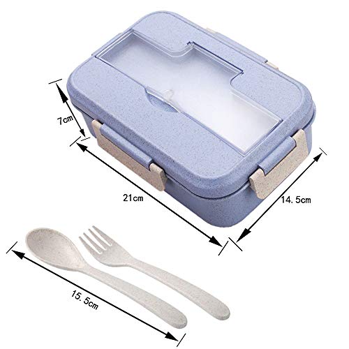 ZoneYan Caja de Bento, Lunch Box Infantil, Fiambreras con 3 Compartimentos, Cuchara Tenedor Lonchera, Fiambreras Caja de Almuerzo Ideal para Microondas (púrpura)