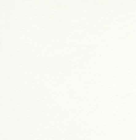 , 10 Paquetes de pañuelos de Papel 100=Matrimonio - Paquetes con