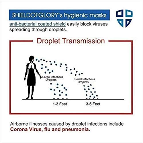 (10 Piezas) Cubierta de máscara de Salud Transparente Profesional para Restaurante, Tatuaje, Maquillaje Permanente, Catering, franquicias de restaurantes, Cocina de demostración, Cuidado de Belleza