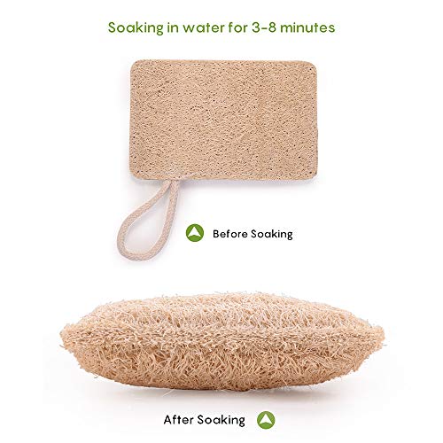 10 Piezas Loofah Esponja, Loofah Para Lavar Platos, Natural Esponja Estropajo, para Cocina, Biodegradable, Cero Residuos(7*11 cm)