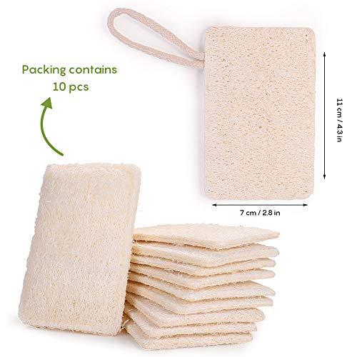 10 Piezas Loofah Esponja, Loofah Para Lavar Platos, Natural Esponja Estropajo, para Cocina, Biodegradable, Cero Residuos(7*11 cm)