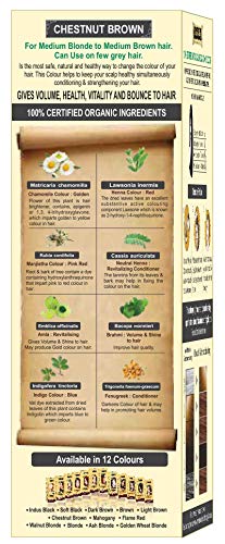 100% orgánico 100% Botanical Natural Herbal hair Dye color Kit para hombres y mujeres 100% libre de químicos, no PPD, no Amoniaco, no peróxido y sin ningún tipo de metales pesados