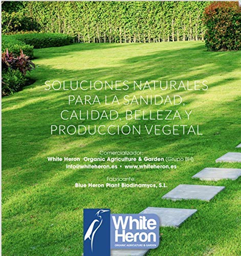 2 BIGROOT® Vitaminas/Algas/Aminoácidos; Enraizante, activador Bioestimulante. Potenciador natural de las raíces. Mejora la calidad plantas, frutos y flor. Fertilizante especial. Ecológico (4.000 m2).