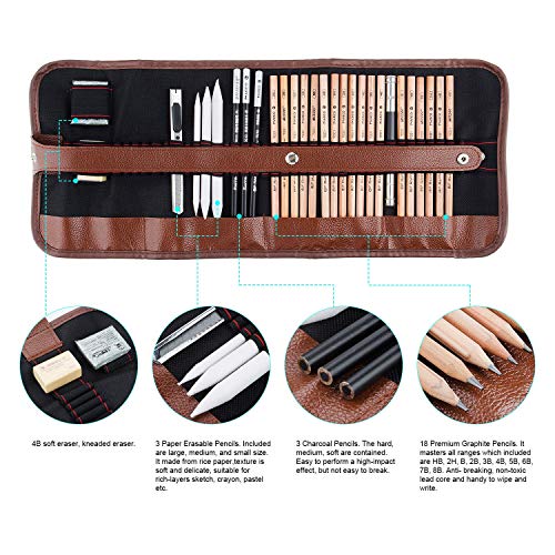 29 Pieza MEIRUIER Set de Dibujo Artista Kit con Lápiz Carbón Grafito Goma Cuchillo con Bolsa para Estudiantes Principantes Profesionales Niños Adultos,Set de Artista para Bosquejo