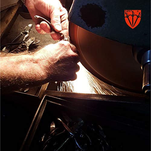 3 Swords Germany - Cortacallos para pedicura, 10 hojas de recambio, podología - Made in Solingen/Germany (7506)