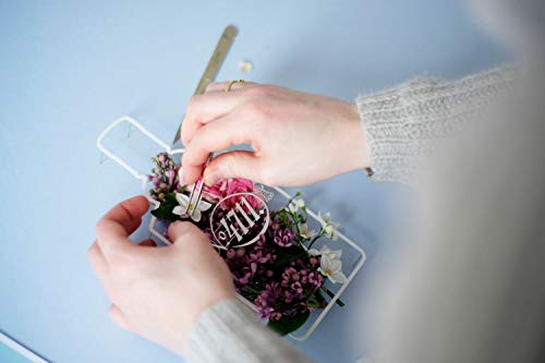 4711 Floral Collection Lilac Edc Vapo 100 Ml 100 ml