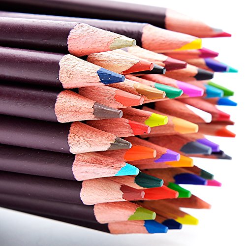48 Lápices de Colores de Dibujo Profesional para Artistas - Lápices con Base de Óleo - Incluye Lápiz Color Carne para Colorear y Hacer Bocetos