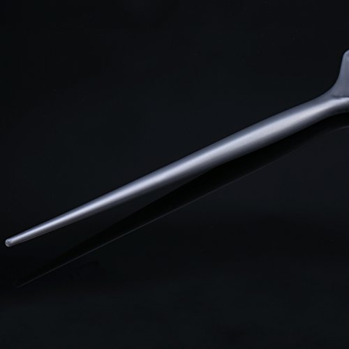 5 Piezas Cepillos de Coloración de Pelo Kit de Teñir Cabello Cepillo de Blanqueador de Peluquería Herramienta de Tinte de Pelo de Mango, Plateado Gris