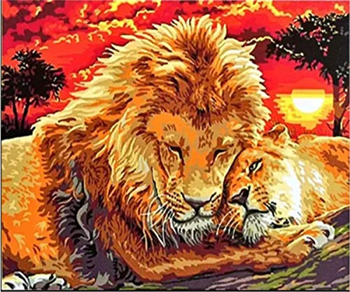 5D Diamond Painting Prairie Animal Lion DIY Decoración de interiores Pintura-Round Diamond, 30x40cm