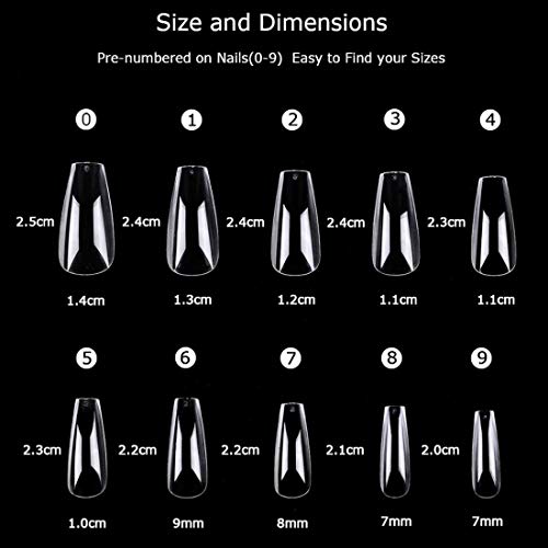 600 piezas Bailarina Uñas Falsas Uñas Artificiales Ataúd Uñas Acrílicas Medianas para la etiqueta del arte del clavo Puntas de uñas de cubierta completa 10 tamaño Uñas postizas transparentes