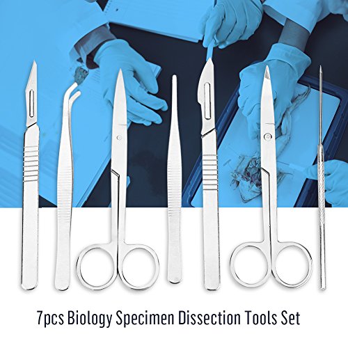 7 Unids Herramientas de Disección, Kit de Disección de Acero Inoxidable para Estudiantes de Biología o Laboratorio