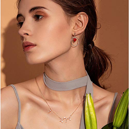 925 Mujer Collares Plata De Ley 12 Constelaciones Colgantes Signos Astrológicos Zodiacos para El Cumpleaños Día De La Madre Joyas De Exclusivo para Regalo Boda Novia,Vigo