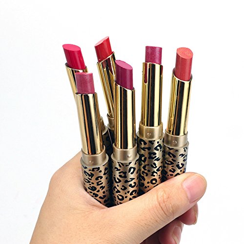 99AMZ Mate Impermeable Permanente Barra de labios Brillante Durable Fija Brillo de labios Multicolor Maquillaje Rojo La moda Glaseado de labios Un conjunto de 12 colores Profesional Lapiz labial (#1)