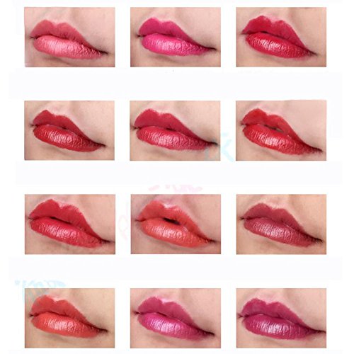 99AMZ Mate Impermeable Permanente Barra de labios Brillante Durable Fija Brillo de labios Multicolor Maquillaje Rojo La moda Glaseado de labios Un conjunto de 12 colores Profesional Lapiz labial (#1)